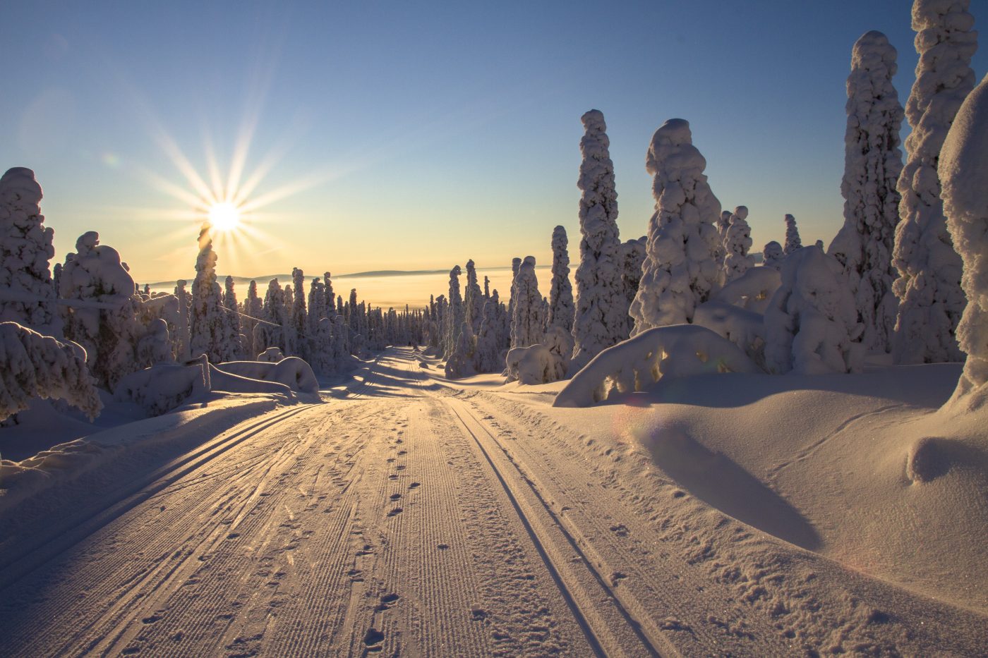 Snowy path in Finland at sunrise.