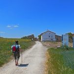 Why You Should Walk the Camino de Santiago Solo